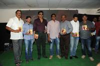 Nagarjuna Bhai Movie Audio Launch